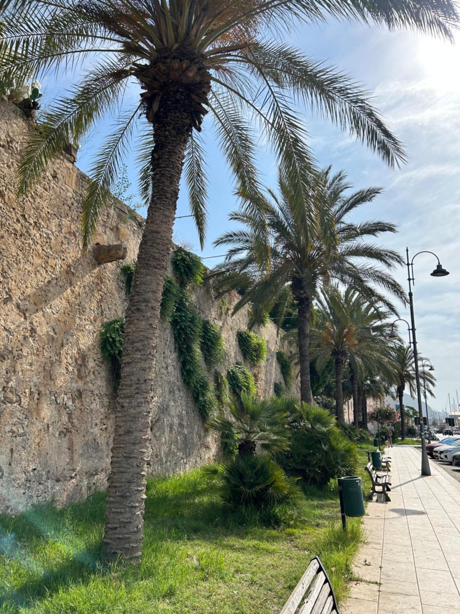 Galli Beach House Sicily Daire Trapani Dış mekan fotoğraf